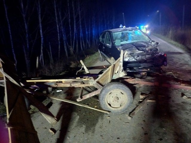 ZDJĘCIE: POLICJA ROPCZYCE Zwierzę zmarło, powoził pijany.