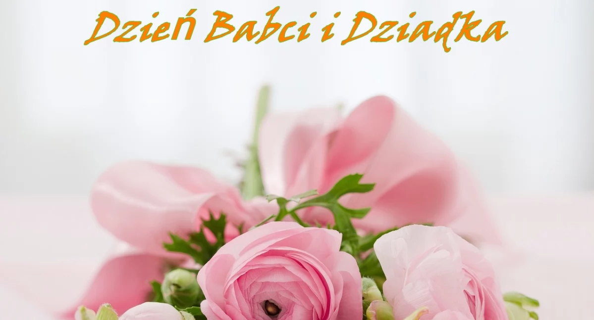 https://pixabay.com/photos/bouquet-flowers-roses-142876/