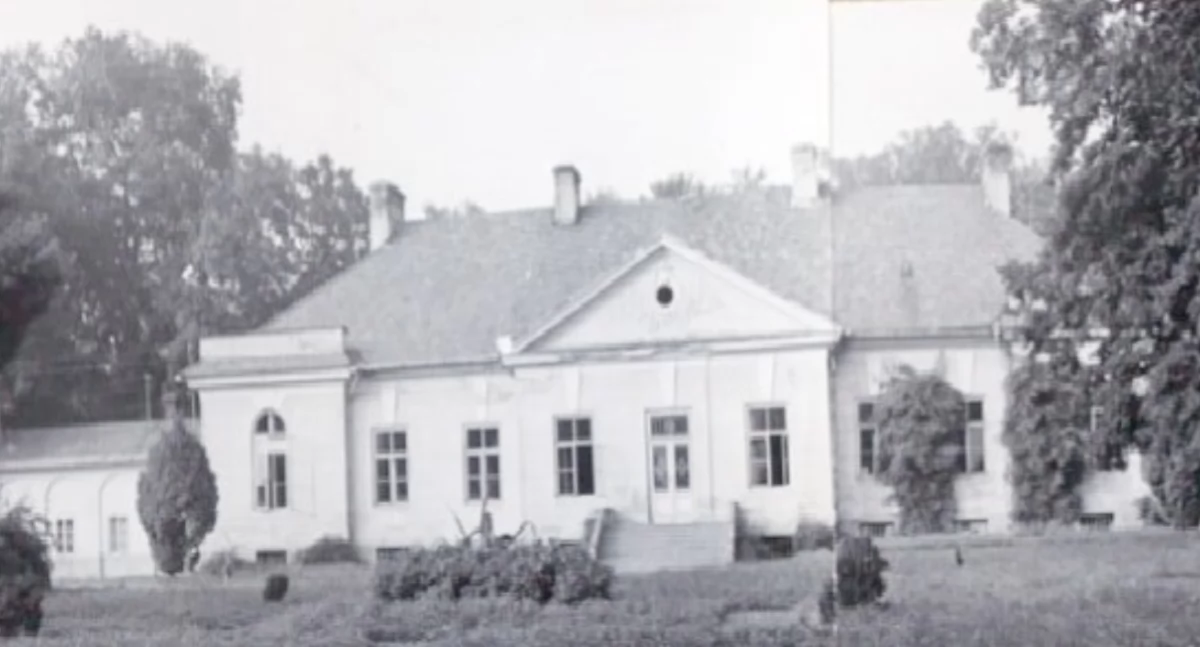 Historia, Pałac Witkowicach między klasycyzmem pamięcią rodzie Dembińskich - zdjęcie, fotografia