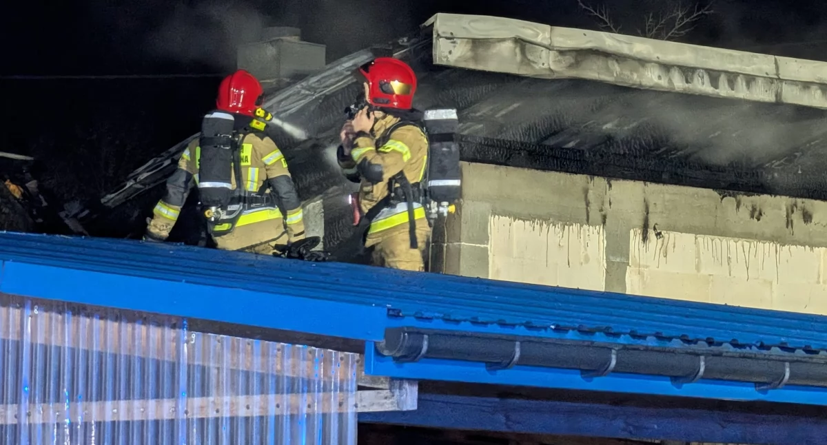 Strażacy na dachu budynku gospodarczego w Czarnej Sędziszowskiej gaszą ogień