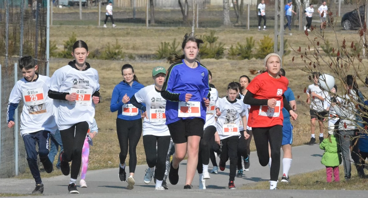 Na zdjęciu uczestnicy biegu 