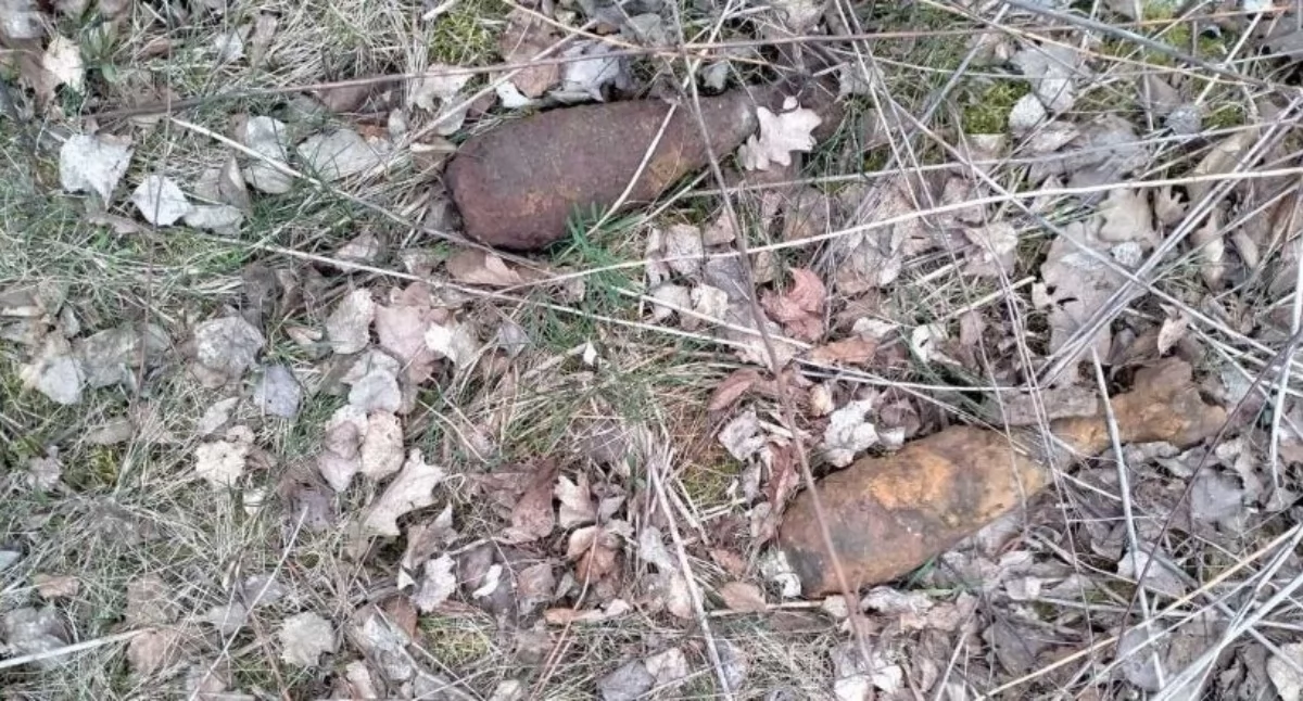 Na zdjęciu niewybuchy znalezione przez policjantów w Kozodrzy.