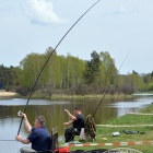 zdjęcie nr 12