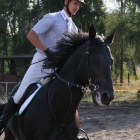 zdjęcie nr 8