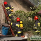 Fotka nr 3 z 10