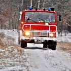 zdjęcie nr 17