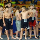 zdjęcie nr 31