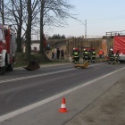 zdjęcie nr 16