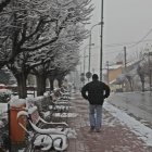 Fotka nr 0 z 11