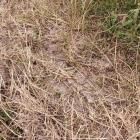 ZDJĘCIE: W. NAJA Ślady opony obok znaku, z charakterystycznym 