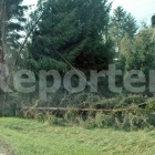 zdjęcie nr 56
