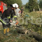 zdjęcie nr 26