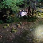ZDJECIE: OSP CZARNA SĘDZISZOWSKA  Auto poza drogą w zagajniku przy drodze