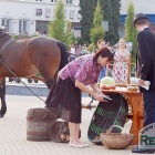 zdjęcie nr 16