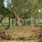 zdjęcie nr 55