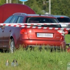 zdjęcie nr 8