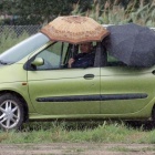 zdjęcie nr 14