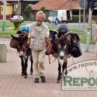 zdjęcie nr 13