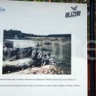 Fotka nr 5 z 8