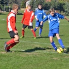 Fotka nr 5 z 16
