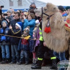 zdjęcie nr 39