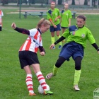 zdjęcie nr 30