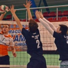 zdjęcie nr 11