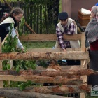 zdjęcie nr 22
