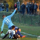 zdjęcie nr 11