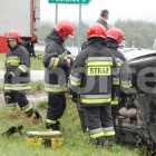 Fotka nr 4 z 11