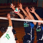 Fotka nr 2 z 11