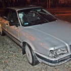 Fotka nr 3 z 8