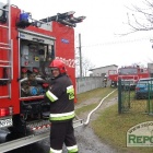 Fotka nr 4 z 8
