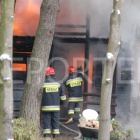 zdjęcie nr 13