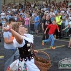 zdjęcie nr 16