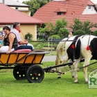 zdjęcie nr 27