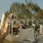 zdjęcie nr 52