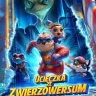 Fotka nr 1 z 3
