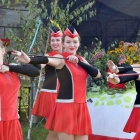 zdjęcie nr 10