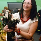 zdjęcie nr 27