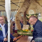 zdjęcie nr 16