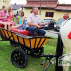 zdjęcie nr 42