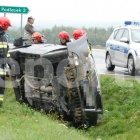 Fotka nr 2 z 11