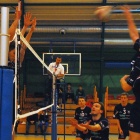Fotka nr 1 z 11