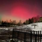 Fotografia zorzy autorstwa pana Dariusza Szczepkowicza