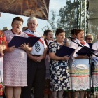 zdjęcie nr 15