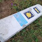 ZDJĘCIE: W. NAJA Znal leży tak, jak rozjechały go koła, lub koło