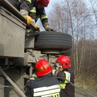 zdjęcie nr 7