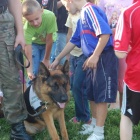 Fotka nr 5 z 7