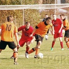 Fotka nr 1 z 19